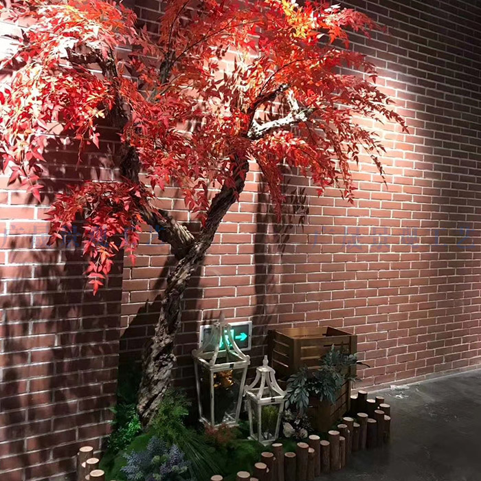 1608022567157036.jpg 1608022567157036.jpg